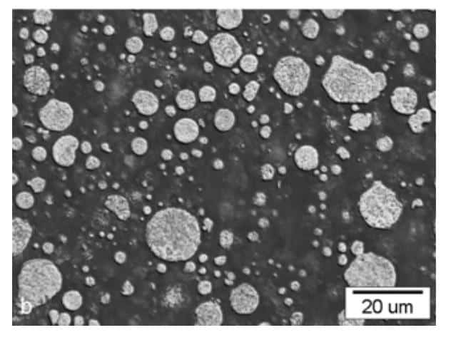 Micrograph of MIM 316L feedstock