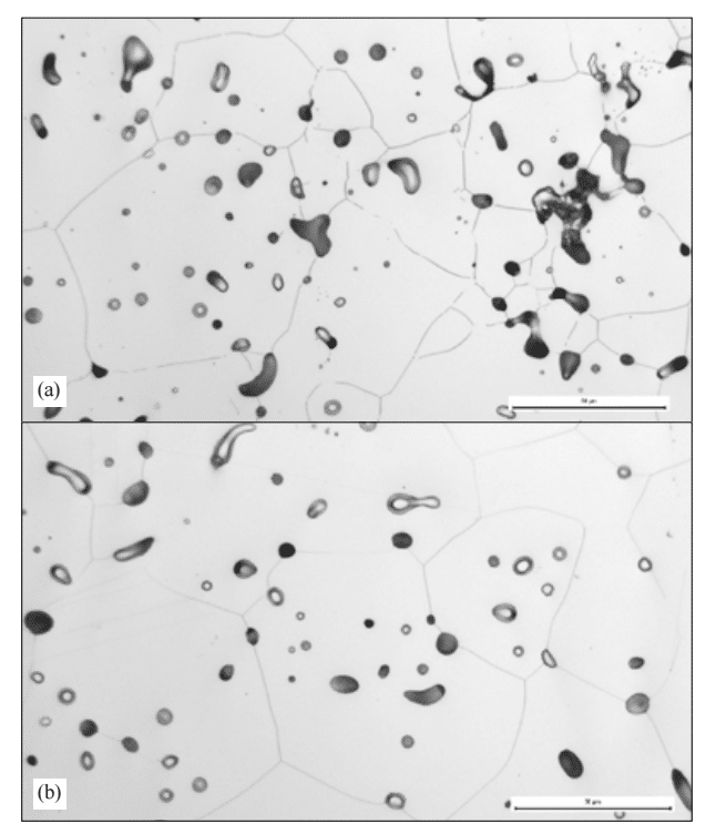 polished and etched microstructure of nitrogen sintering