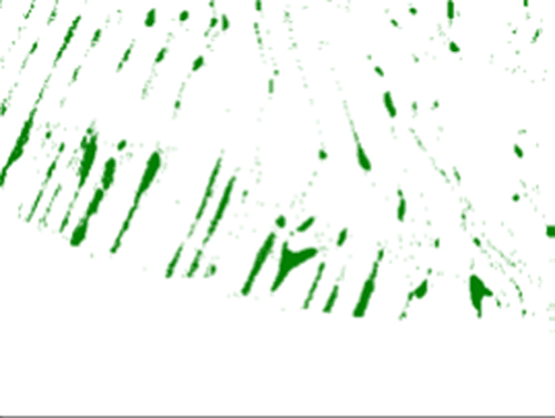 EBSD CrN phase mapping in sintered F75