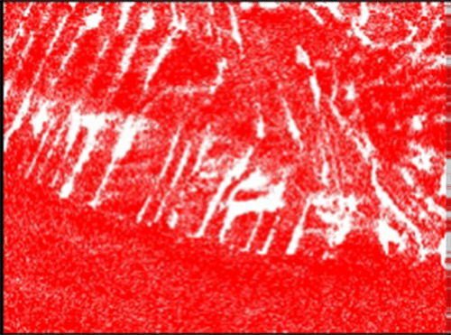 EBSD FCC phase mapping in sinterted F75