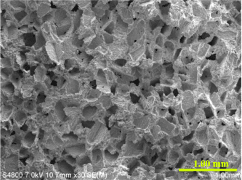 SEM image of SS 440C internal pore