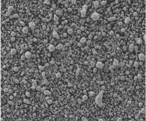 SEM morphology of F75 powder