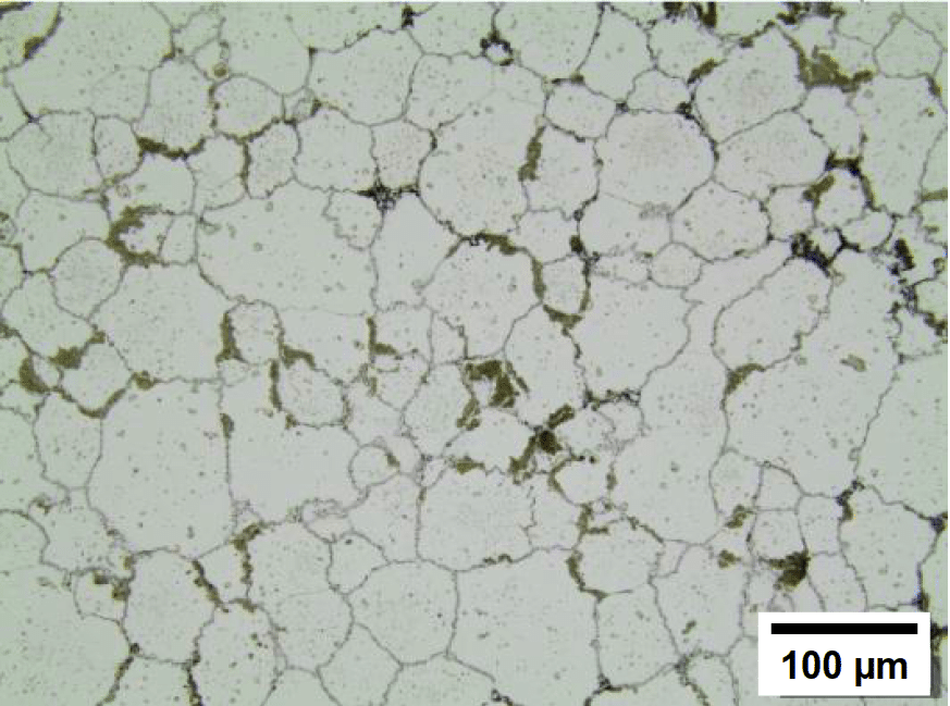 SEM of 440C sintered