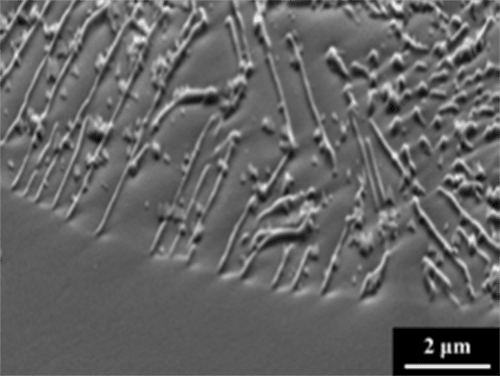 Secondary electron image（SEI）in sinterted F75