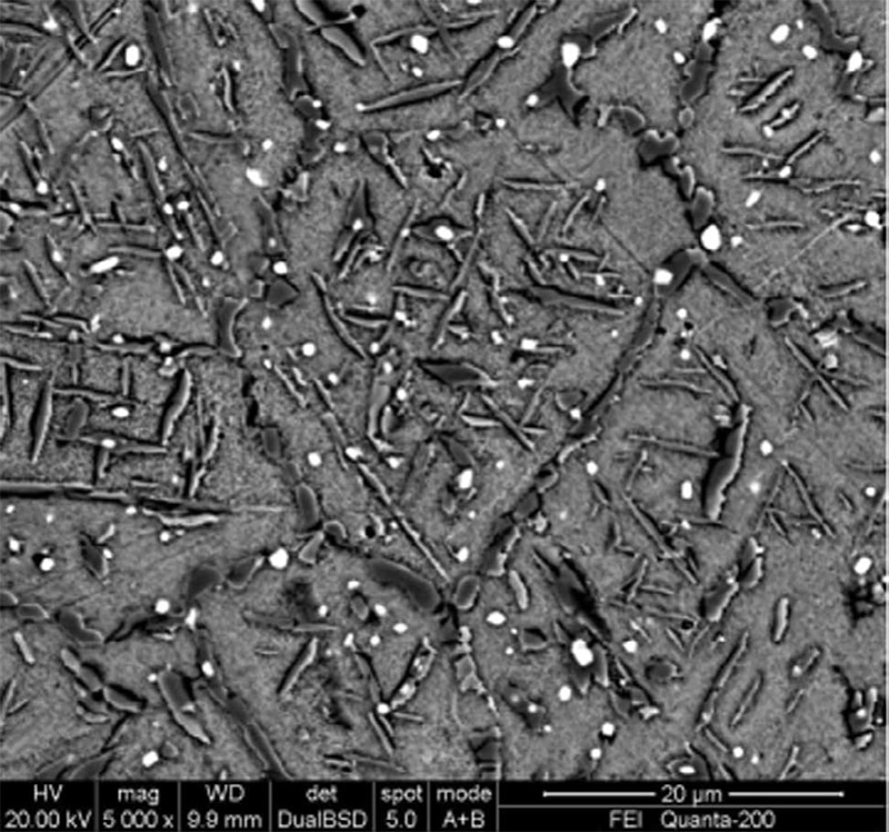 SEM image in N2