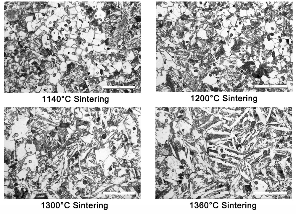 Microstructre in Sintering