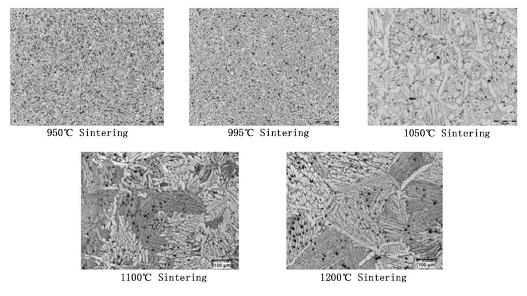 Ti microstructure in sintering