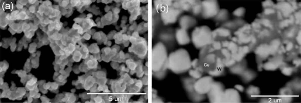 Ultrfine W-10Cu Power SEM Image