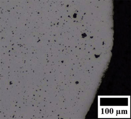 Metallographic structure of F75 sintering