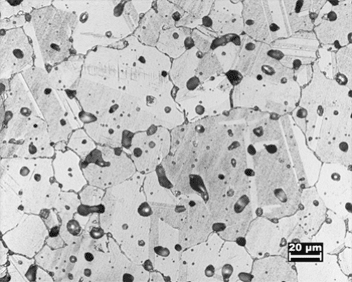 Micrograph after sintering